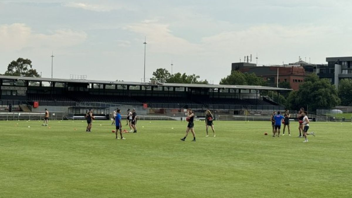 Training Report: Collingwood