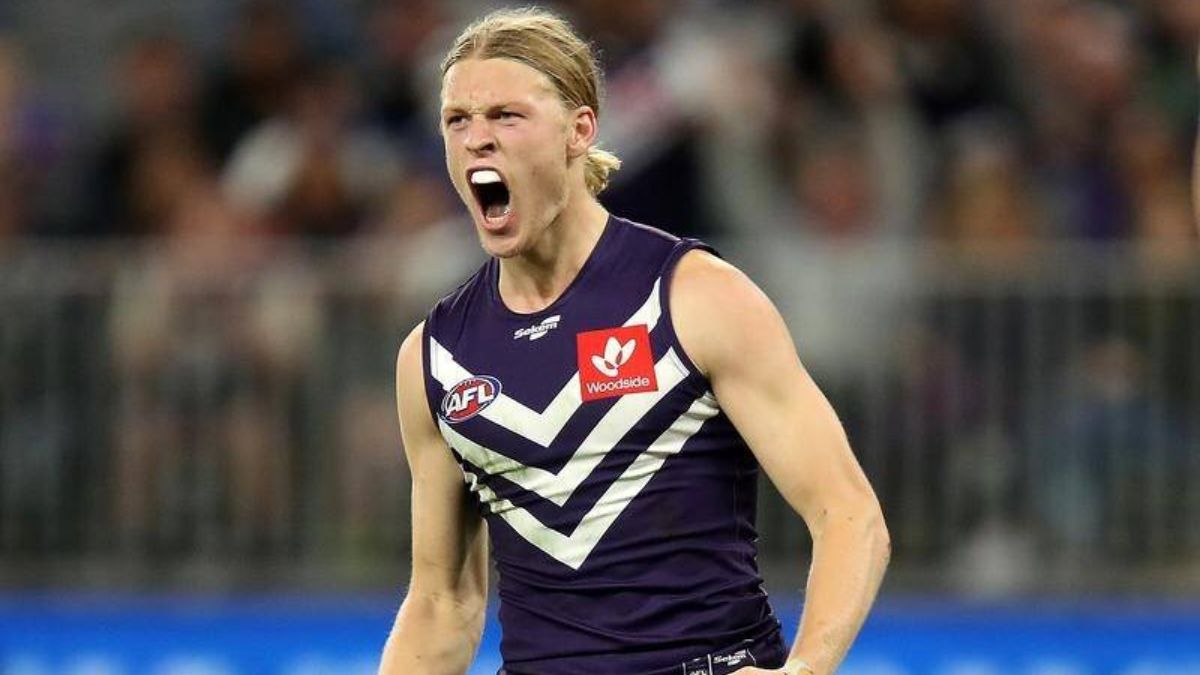 Plus Six Podcast: Defenders above $500K, plus 2024 pre-season research