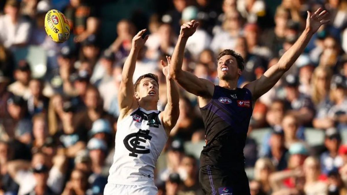 Injury Update: Lachie Fogarty