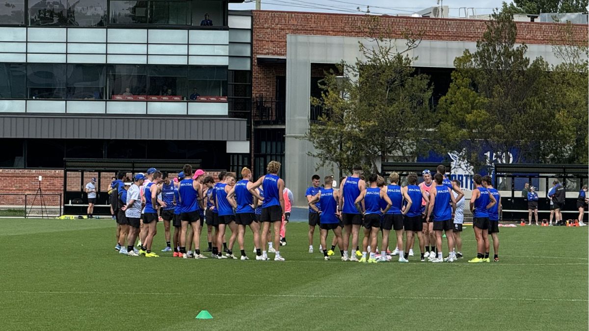 Nth Melbourne Training Report 18/11/24 - Premium
