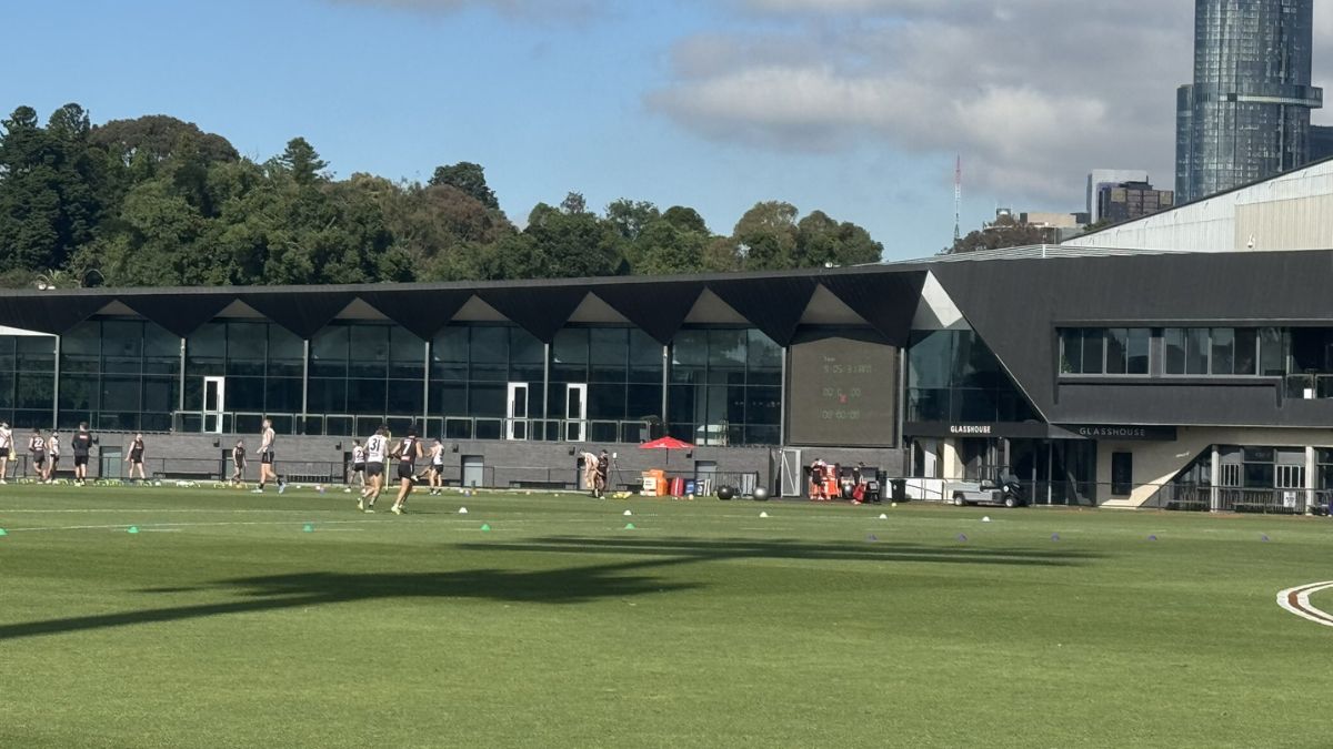 Collingwood Training Report 29/11/24 - Premium