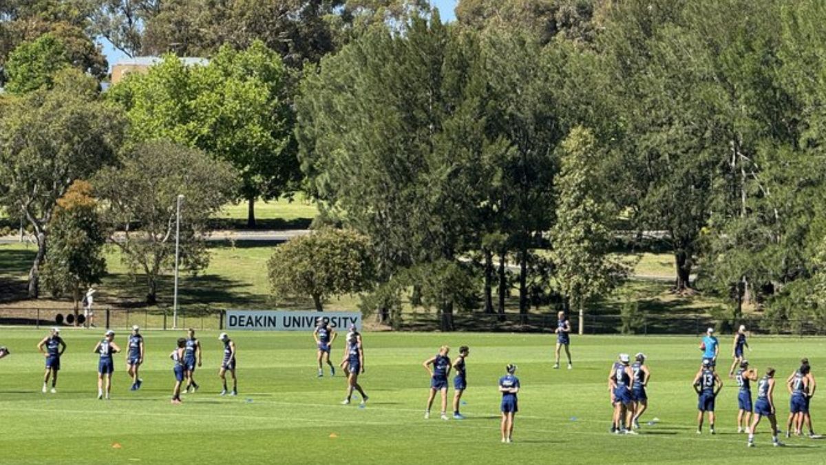 Geelong Training Report 4/12/24 - Premium