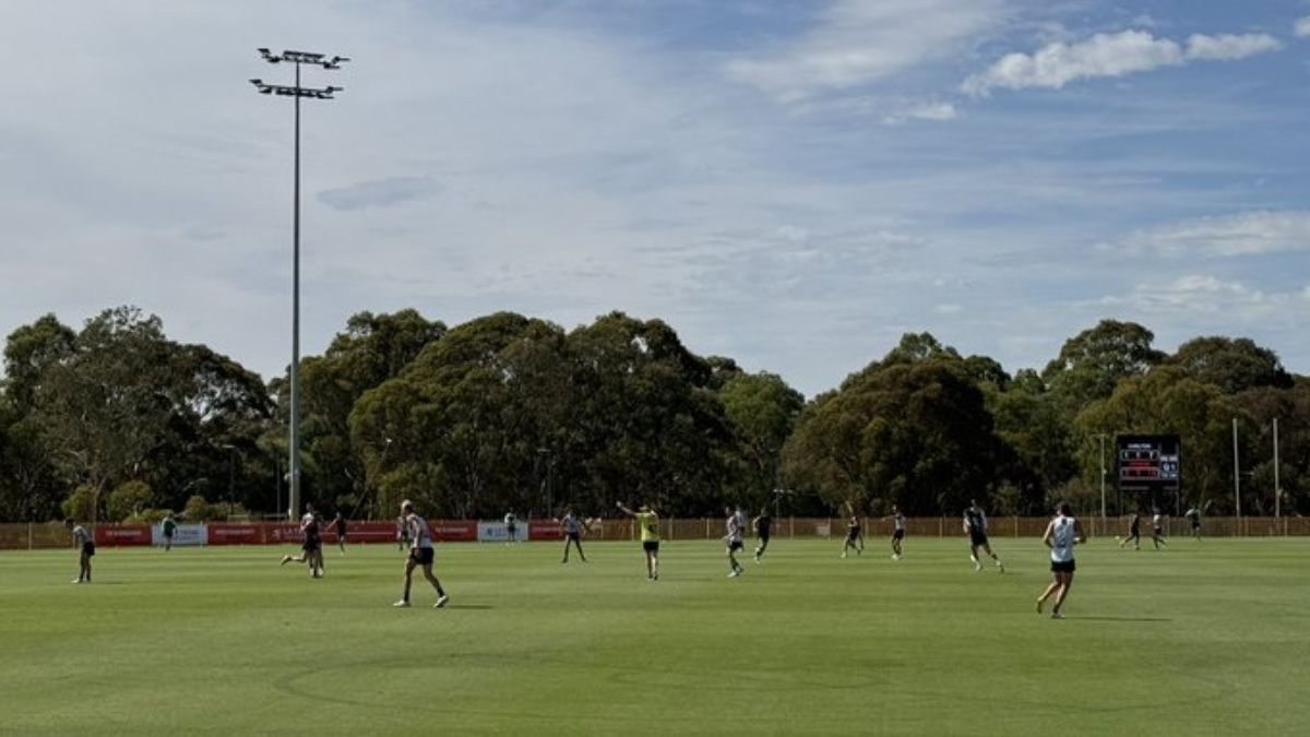 Carlton Training Report 20/01/25 - Premium