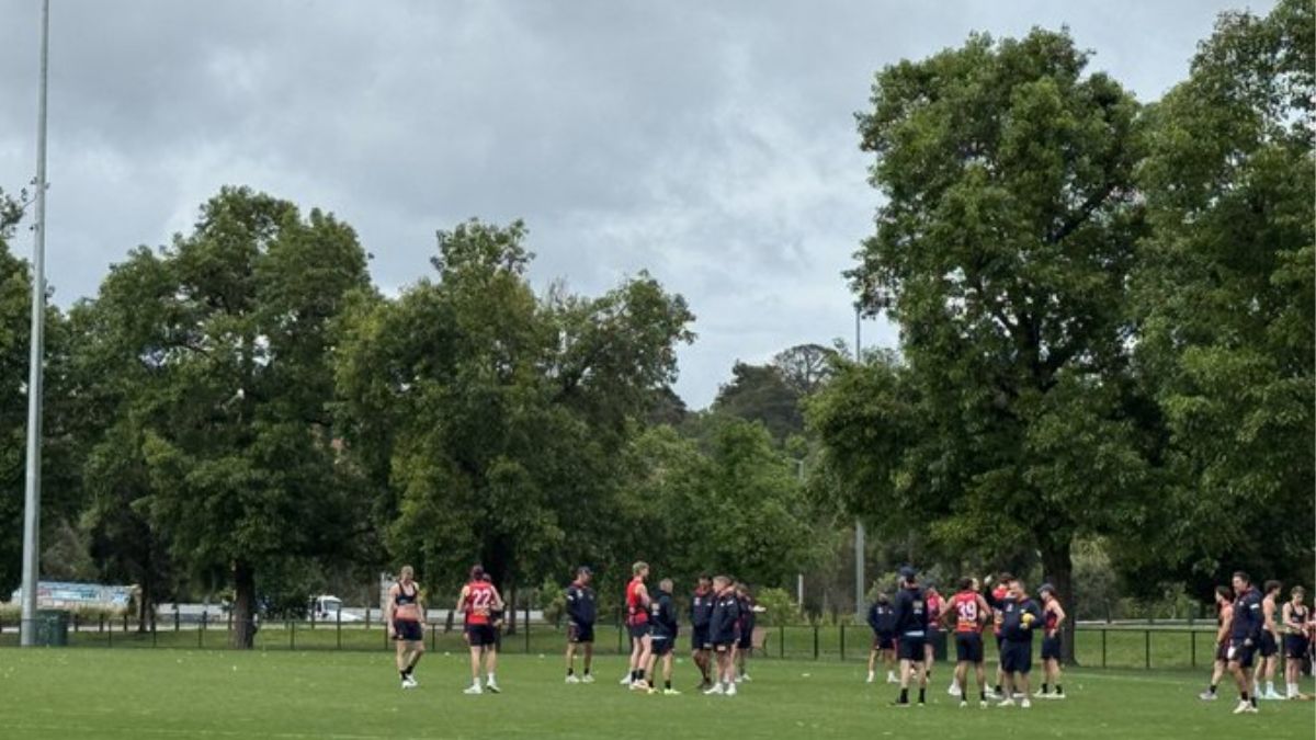 Melbourne Training Report 17/11/25 - Premium