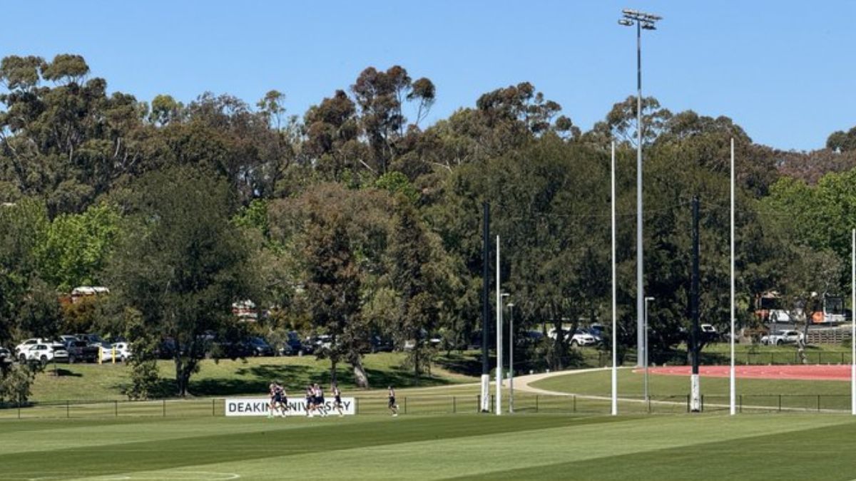 Geelong Training Report 03/12/25 - Premium