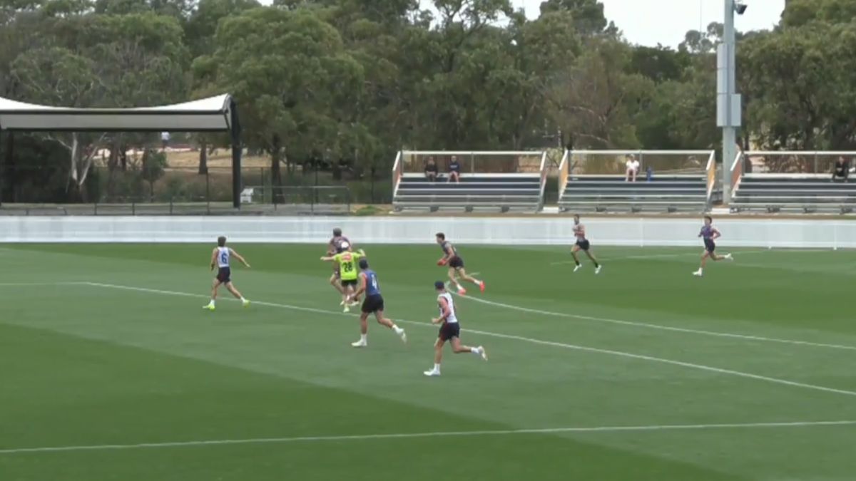 Melbourne Training Report 13/02/26 - Premium