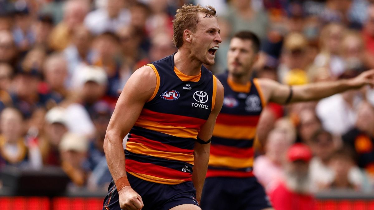 Fantasy Scout Round 11: Hawks v Crows - Premium