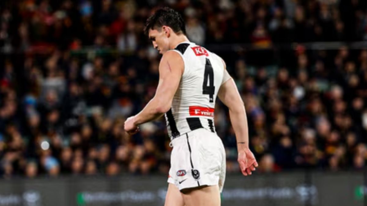 Injury Update: Brayden Maynard